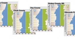 Population pyramids art