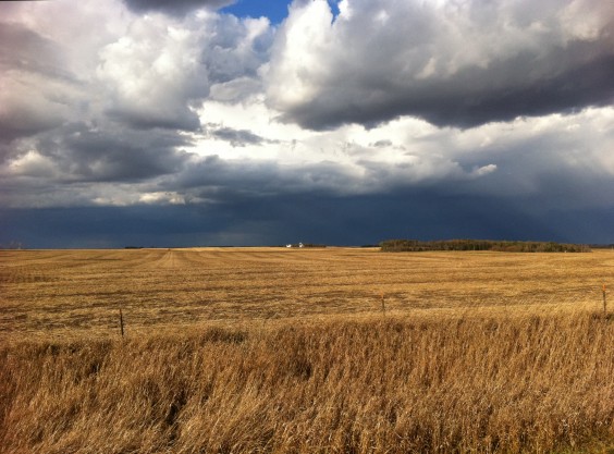The sky of Savo township, rural Frederick, South Dakota, October 2011. By Heidi Marttila-Losure.