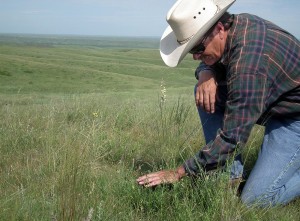 Todd Mortenson on the Mortenson Ranch in Stanley County, S.D.