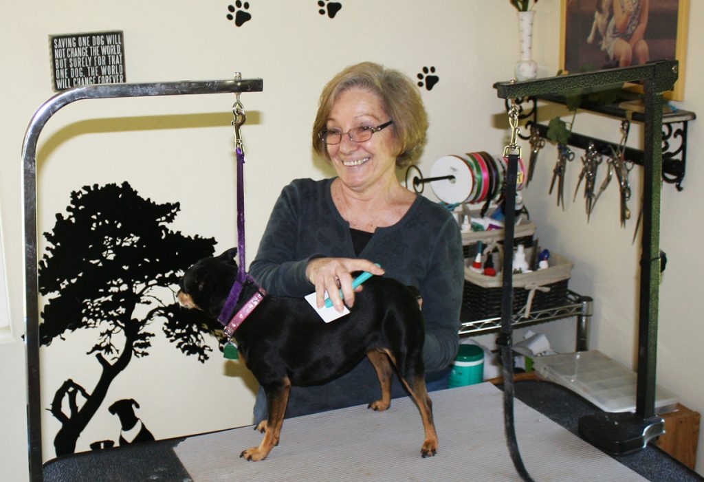 Faith Thorne, who worked as a dog groomer in Chicago until moving to Hoven, S.D., three years ago, said she enjoys the slower pace of rural America, but has no shortage of work, because dog grooming appointments are hot commodities in the area. By Wendy Royston/Dakotafire Media