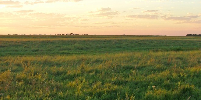 prairie16x20