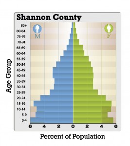 Shannon County SD population pyramid