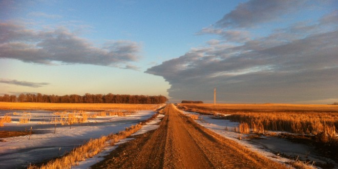 South Dakota gravel road during a mild winter. Photo by Heidi Marttila-Losure.
