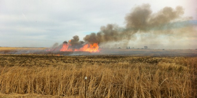 Cattails in dried-up sloughs being burned to reclaim farmland. By Heidi Marttila-Losure