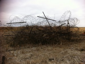 Fence removed from farmland. By Heidi Marttila-Losure