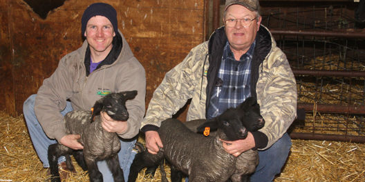 Spring scene: Lambing and calving is ‘most fun part of the year’ for Clark breeder