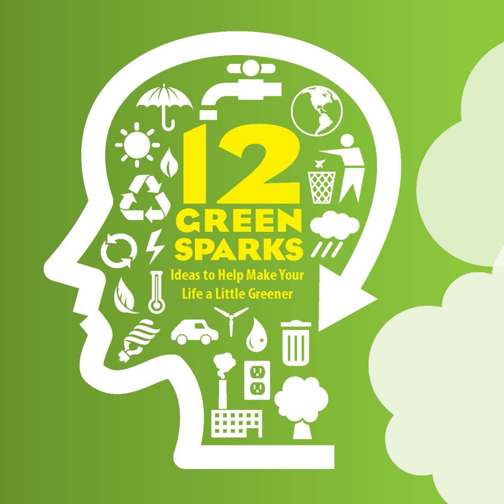 Green Spark 1 Use Passive Solar. Dakotafire