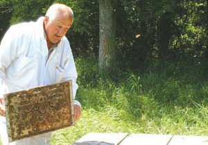 Gary Block of Waubay is a travel agent for bees that travel across the country pollinating crops. Photo by George Thompson, Reporter and Farmer