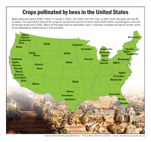 INFOGRAPHIC: Crops pollinated by bees in the United States