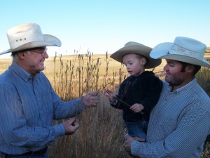 Much of the work at Rock Hills Ranch has been handed over to Lyle Perman’s son, Luke Perman, pictured at right. He’s holding a member of the next generation, Isaac, who’s getting a lesson from his grandfather Lyle. Photo courtesy Rock Hills Ranch