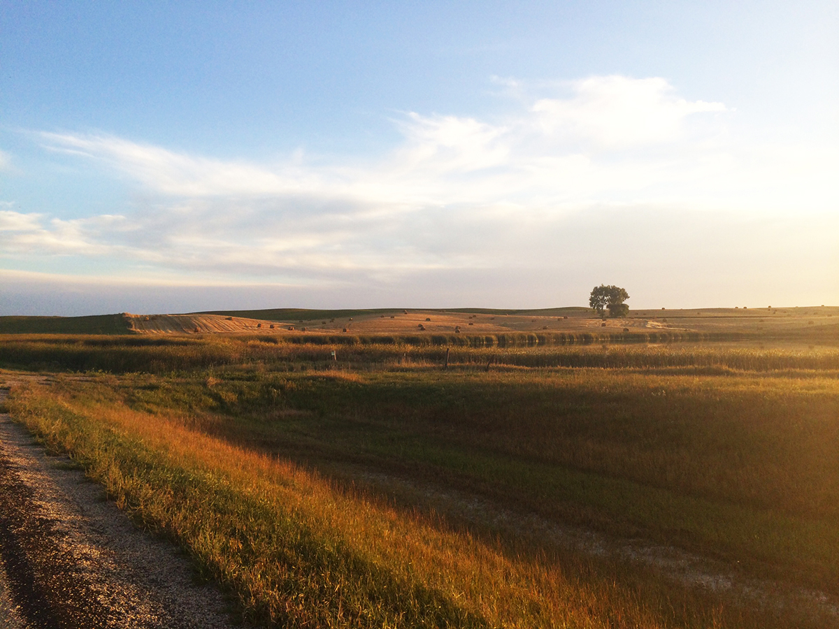 Final issue of Dakotafire published